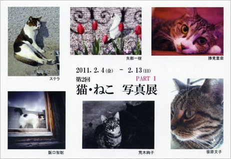 第2回 猫・ねこ写真展 のお知らせ Art Gallery 山手 横浜 ピンホール写真_f0117059_18143254.jpg