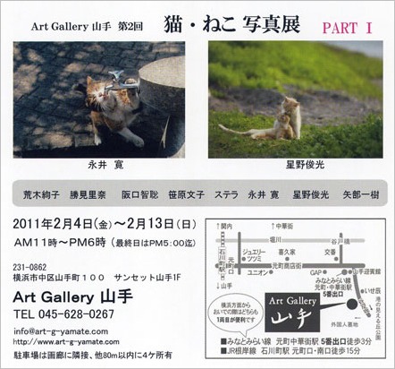第2回 猫・ねこ写真展 のお知らせ Art Gallery 山手 横浜 ピンホール写真_f0117059_18152054.jpg