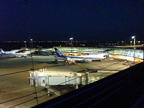 b0101263_16144635.gif