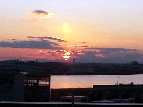 b0101263_168315.gif