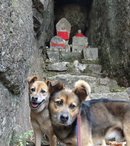 2011年1月5日　甲山八十八ヶ所石仏めぐり_a0063364_22504670.jpg