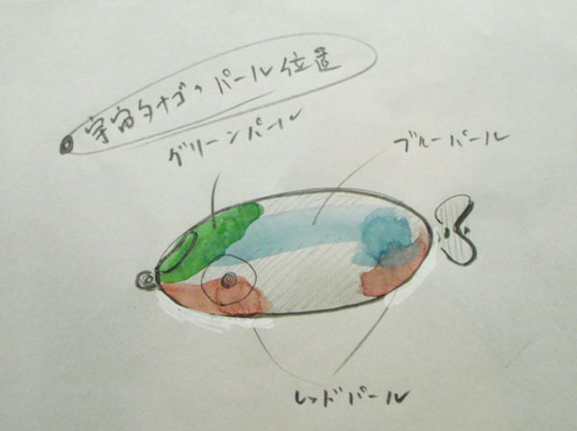 宇宙タナゴの色の補足_a0190865_472540.jpg