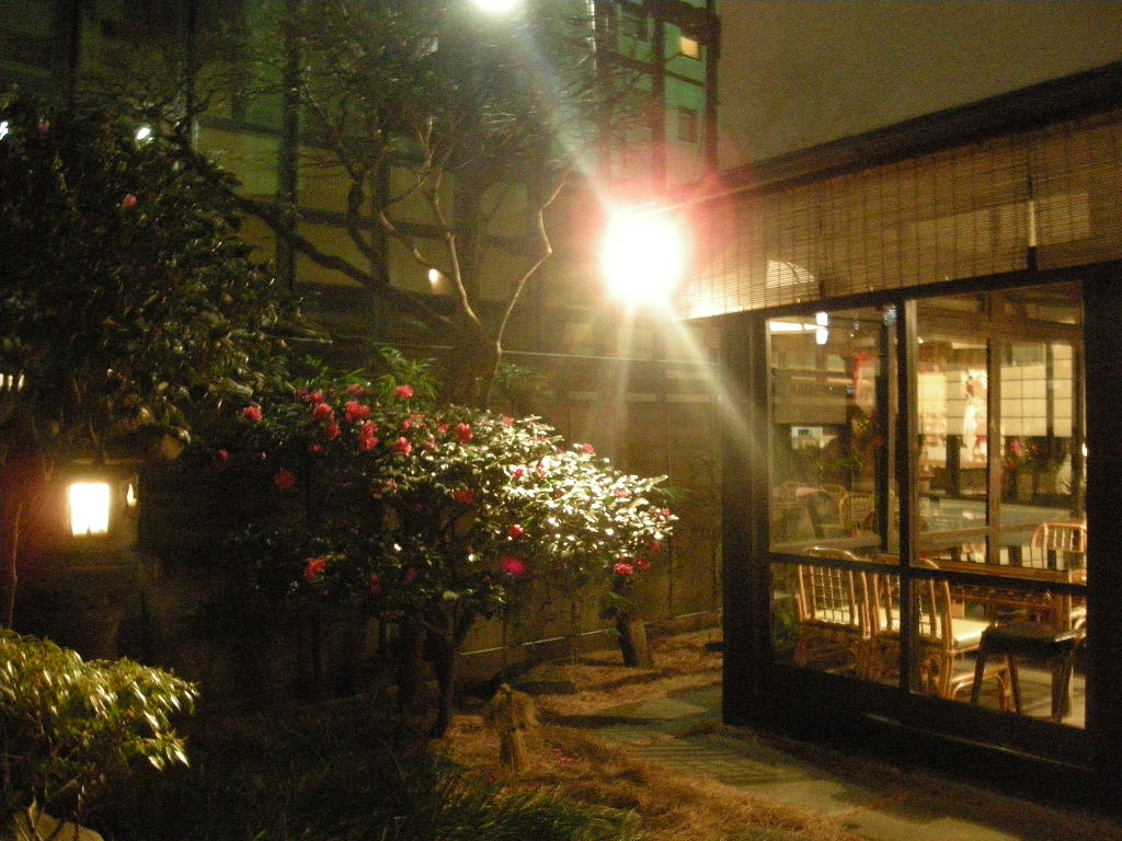 a0105981_19255823.jpg