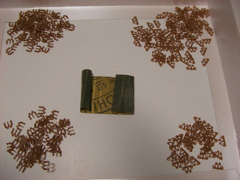c0208691_21323617.jpg