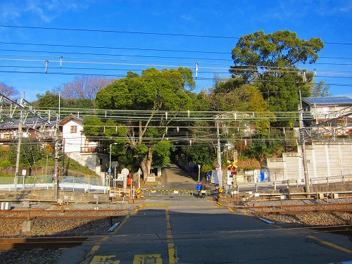 d0121294_10551741.jpg