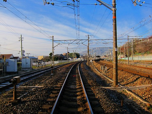 d0121294_105751.jpg