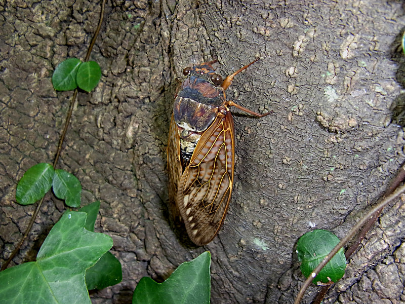 f0204094_2015151.jpg