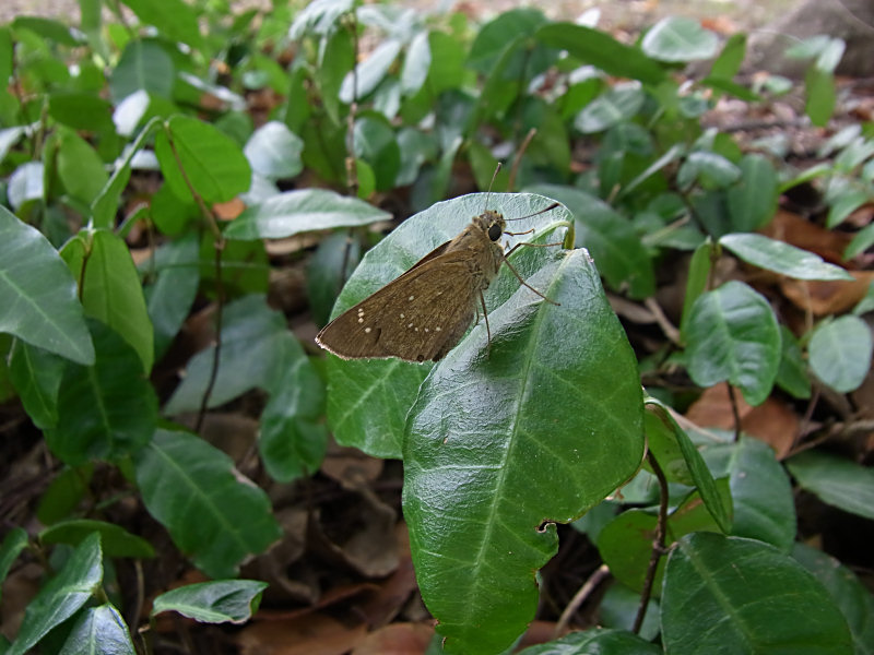 f0204094_2035131.jpg