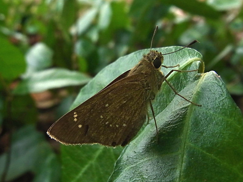 f0204094_2041555.jpg