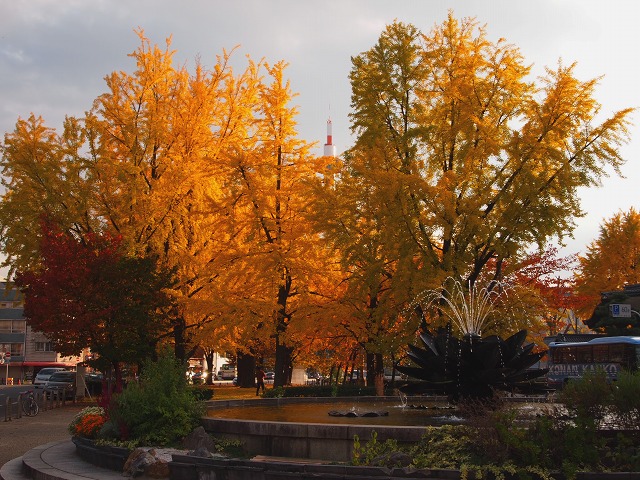 e0039703_214313.jpg