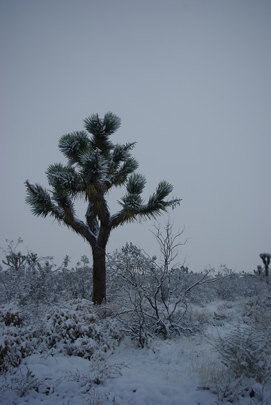 f0038904_13272840.jpg