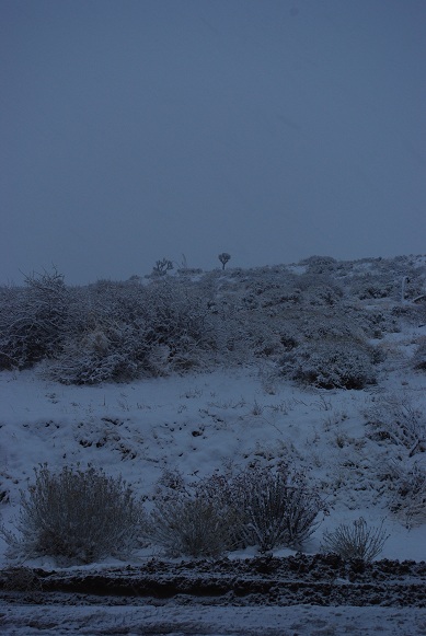 f0038904_9251052.jpg