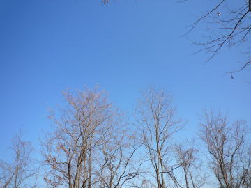 e0070606_4244450.jpg