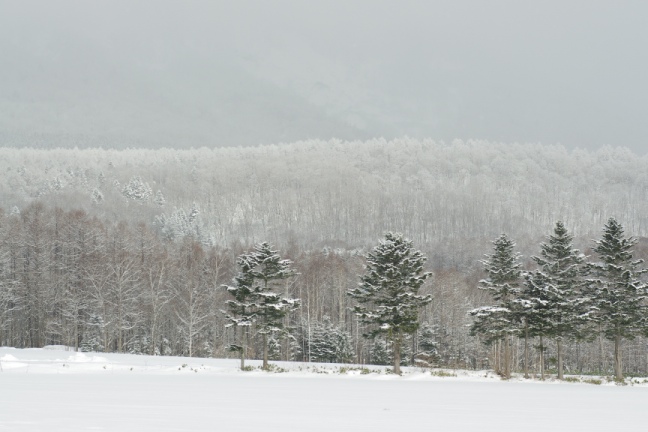 a0146011_2230434.jpg