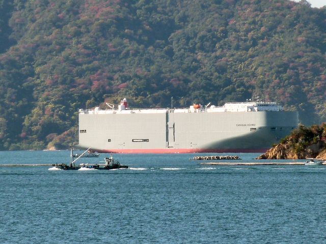 b0057612_1012493.jpg