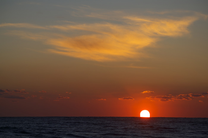 c0110112_2338741.jpg