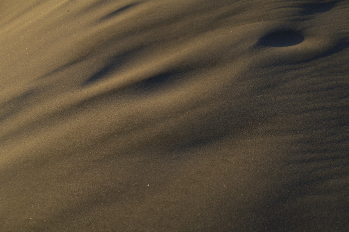 c0110112_23392436.jpg