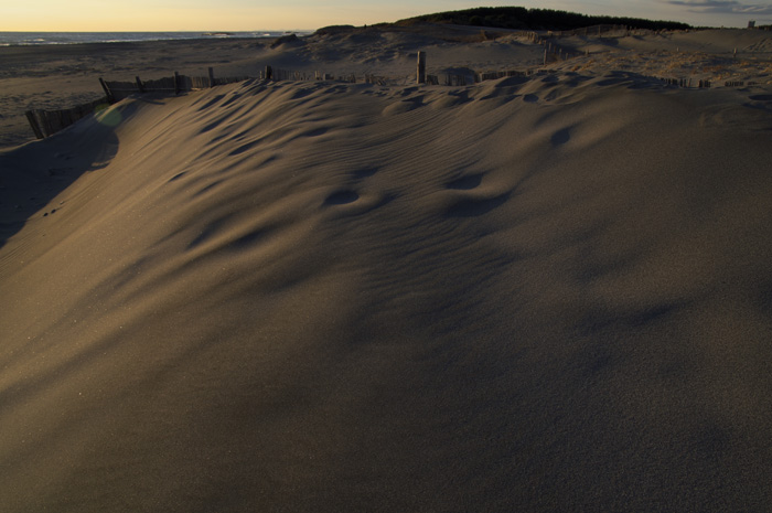 c0110112_23393155.jpg