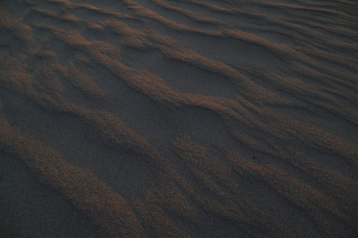 c0110112_23395560.jpg