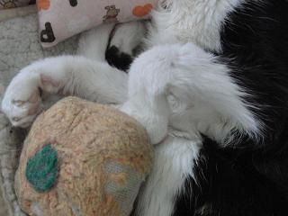 c0201113_22501991.jpg