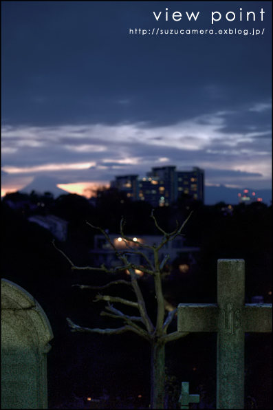 ここから絶景、見れます_f0100215_0423738.jpg