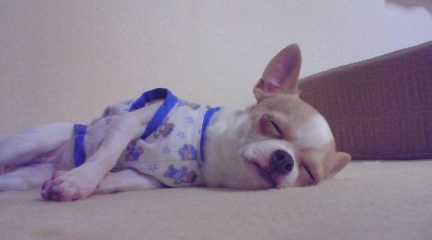 c0200916_16574840.jpg