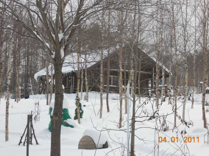 d0143719_1243912.jpg