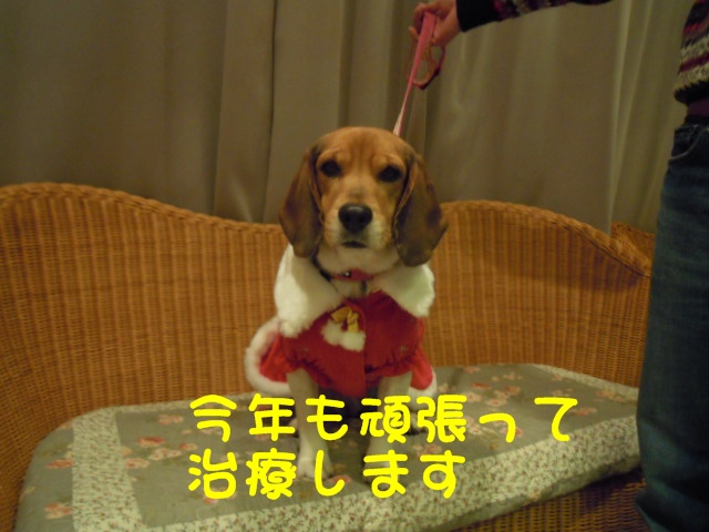 c0166622_852113.jpg