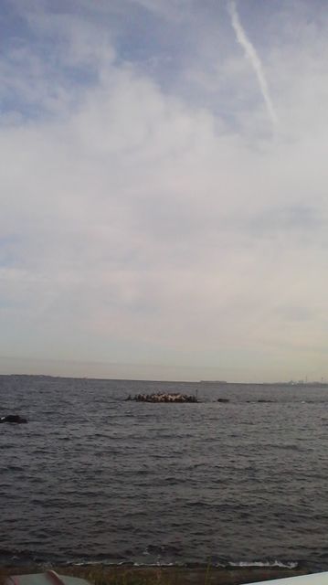 a0118331_1263539.jpg