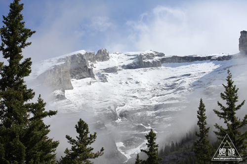 073 Bow Valley Wildland Provincial Park ～コヨーテの道案内～_c0211532_23422237.jpg