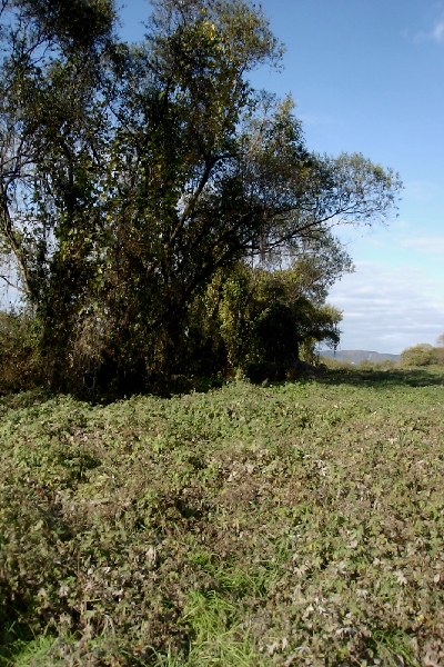 b0025738_23443755.jpg