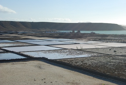 e0120938_21295362.jpg