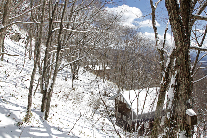 c0035245_1838244.jpg