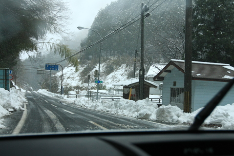 c0193648_233477.jpg