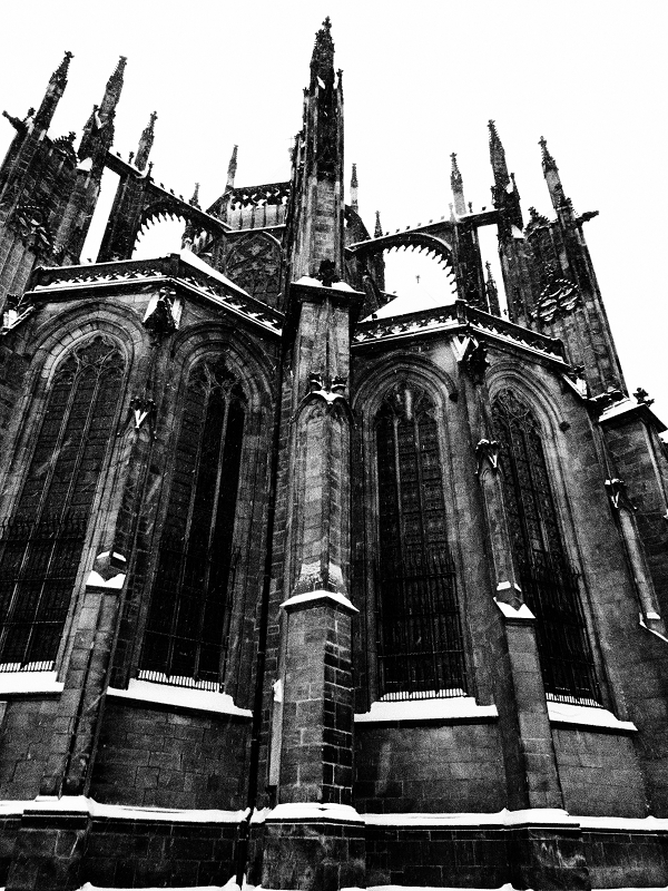 f0140054_73316.jpg