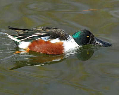 e0035757_197139.jpg