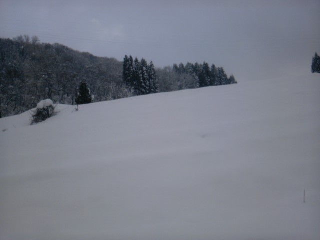 e0202860_22505647.jpg