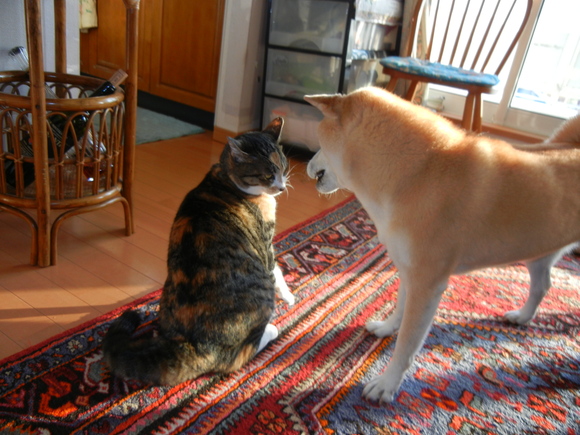 2011年1月6日(木)愛と心の初本格ガチンコ!_f0060461_17182726.jpg