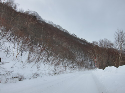 PowerShot S95 SX130 IS撮り比べ _c0166765_21174558.jpg