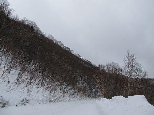 PowerShot S95 SX130 IS撮り比べ _c0166765_21185542.jpg