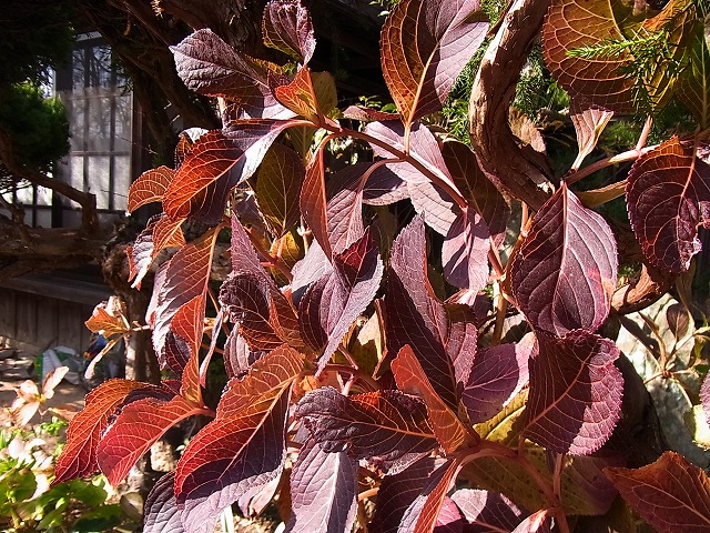 e0181373_21213963.jpg