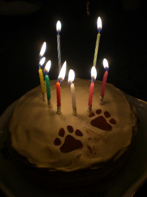 b0171885_22521429.jpg