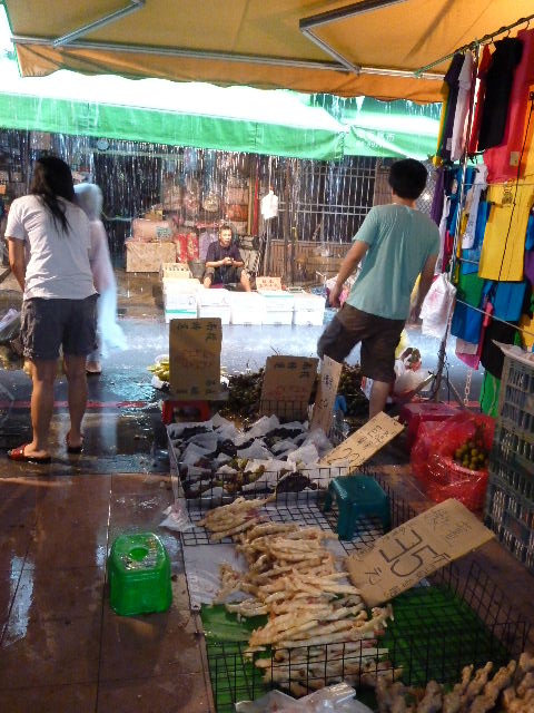 台湾最南端温泉旅　第四天　雨天の新化へバス旅_f0172386_0215683.jpg