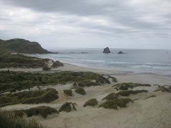 Otago Peninshula / Sandfly Bay_f0177489_10575799.jpg