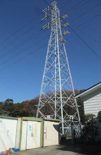 e0070891_17492348.jpg