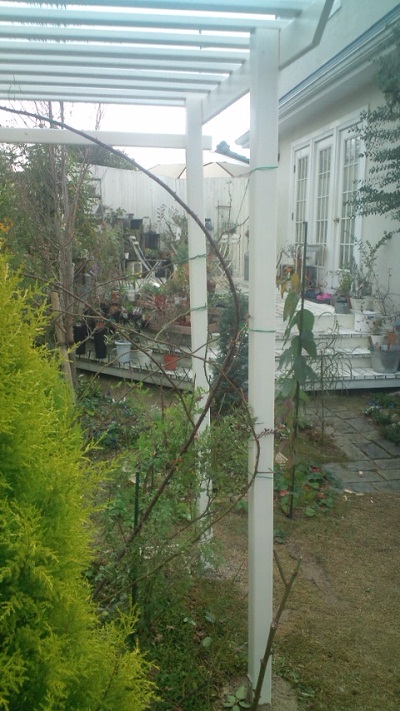 b0207995_1755545.jpg