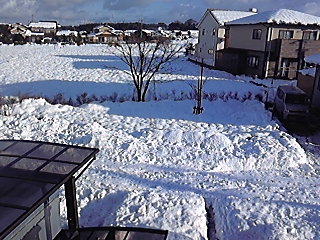 a0105396_120363.jpg