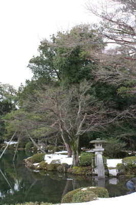 b0080398_13115869.jpg