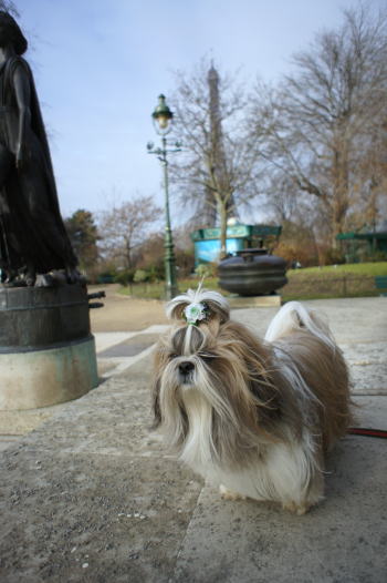 c0090198_4252627.jpg