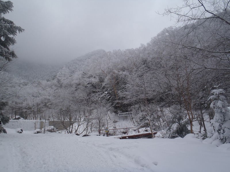 c0147398_1284695.jpg